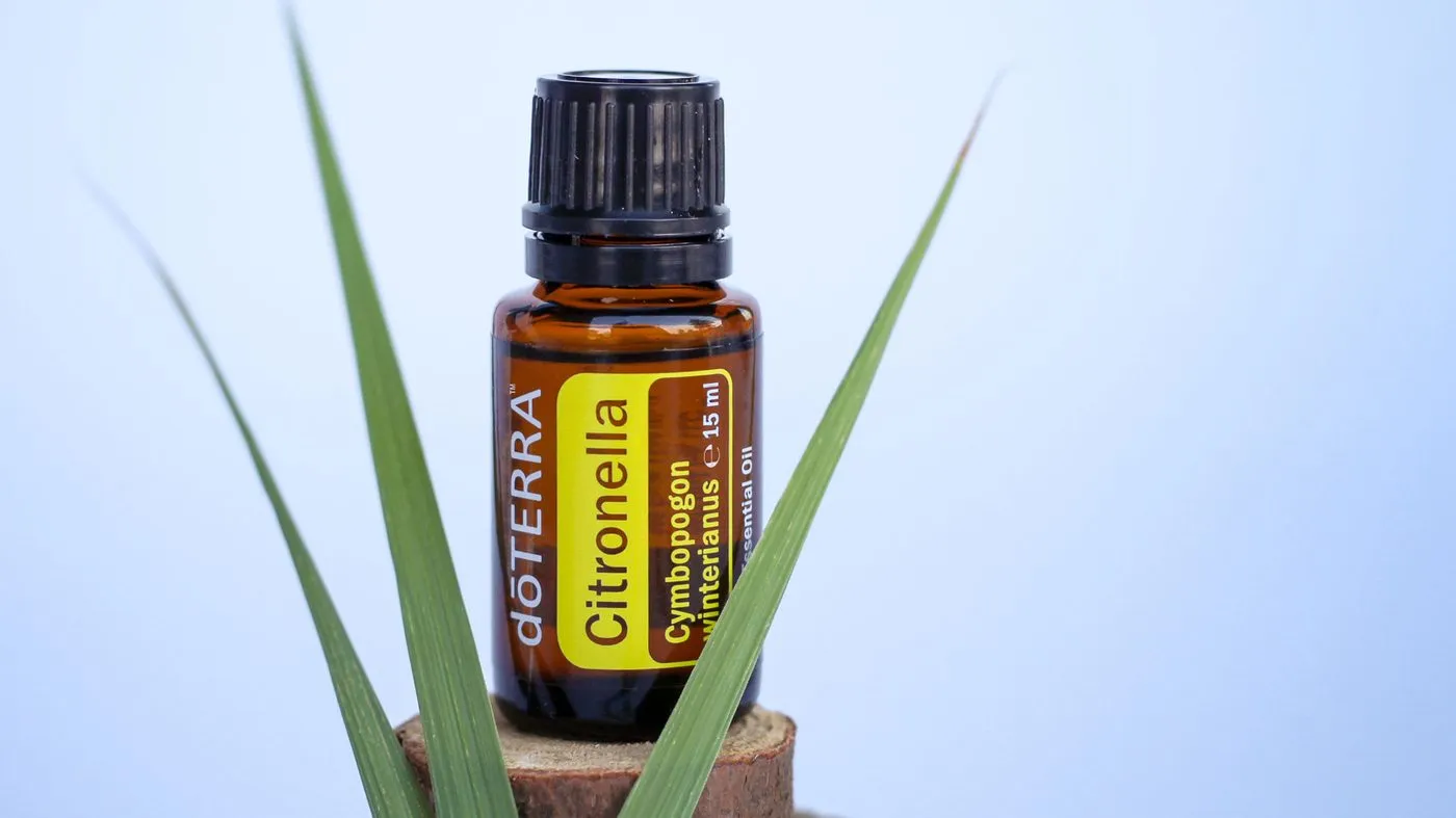 Óleo dōTERRA Citronella 15ml — foto estilizada